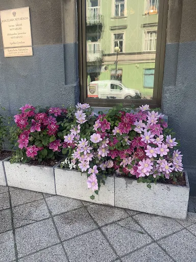 Kancelaria Notarialna Aderek & Jaworska